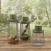  #PD23-709 Chicken Wire Candle Holders - Set of 3